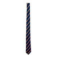 St James AS Traditional tie
